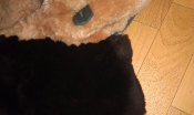 IMAG0239.jpg