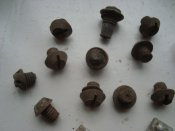 DSC06797.JPG