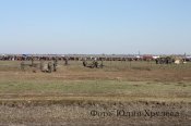 IMG_4062.JPG