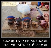 скалять зуби.jpg