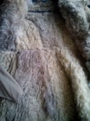 IMG_20160106_091450.jpg
