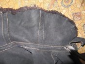 IMG_2354.JPG