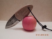 DSCN4284.JPG