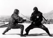 bwwuvb-pw5_ru-mech-nindzya-karate.jpg