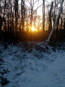 P_20160109_083726.jpg