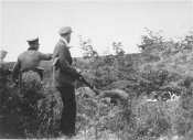 German police and Ukrainian militia shooting Jews from the village of Chrystynowka.jpg