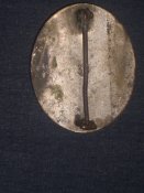 CIMG2811.jpg