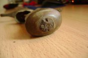 DSC01873.jpg