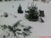 DSC04008.JPG