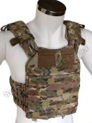 plate-carrier1.jpg
