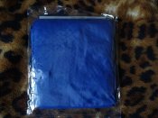 DSC07846.JPG