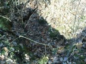 DSC00664.jpg