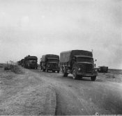6_Arrivo di un'autocolonna militare a Tobruch nell'autunno 1941.jpg