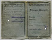 3941607.jpg
