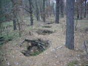 PIC_0115.JPG