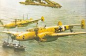 Me110D_ZG26_yellow-px200.jpg