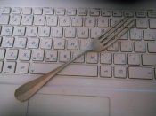 DSCN9343.JPG