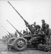 Polski_Bofors_wz36_40_mm.jpg