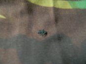 DSCN2053.JPG