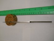 DSCN0260.JPG