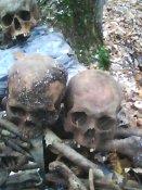 IMG0027A.jpg
