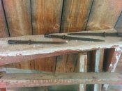IMG_20160121_113006.jpg