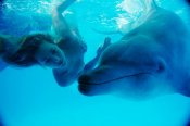 1353573137_rusalka12.jpg