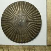 PIC_0043.jpg