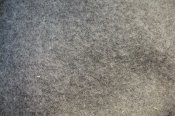 12072583_455674461286276_2043109078744273892_n.jpg