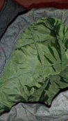 IMG_20160120_210700.jpg