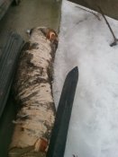 IMG_20160124_135424.jpg