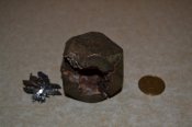 DSC_0404.JPG