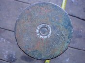 DSC01543.JPG