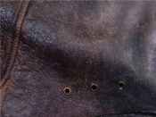 CAM01575.png