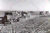 italian_trucks_AUS_1.jpg