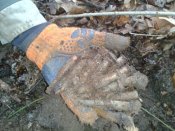 2016-01-27 15.37.36.jpg
