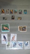 IMG_0539.JPG