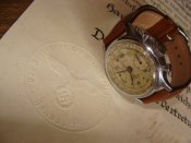 DSC08528.JPG