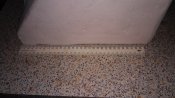 20160129_232745.jpg