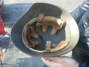 20160130_100401.jpg