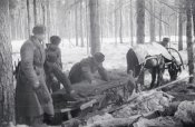 ранен-9.jpg