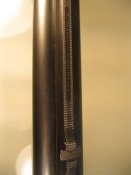 IMG_7000.JPG