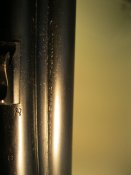 IMG_7004.JPG