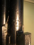 IMG_7009.JPG