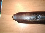 IMG_20160131_151904.jpg