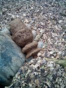 20160131143552.jpg