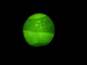 20160129_195402.jpg