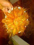 20150606-0003.jpeg