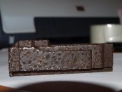 ДП личинка5.jpg