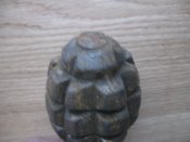 Изображение 8496.jpg